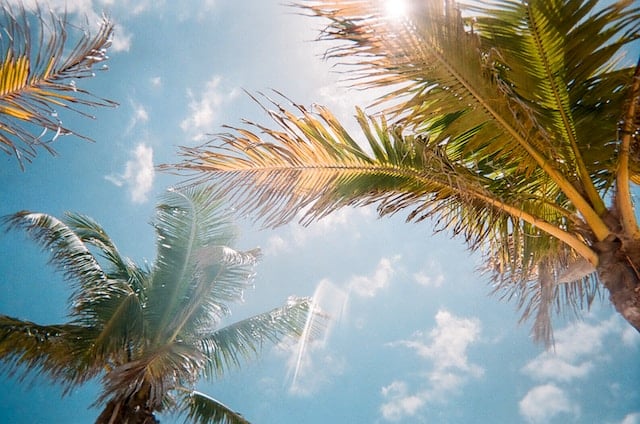 Tampa_Florida (1)