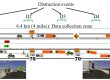 Diagram showing roead distraction events