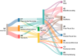 Sankey diagram showing data distribution.