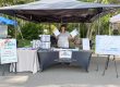 Outdoor community event. woman stands behind exhibitor table covered in informational materials and give-aways, holding flyers in her hands.